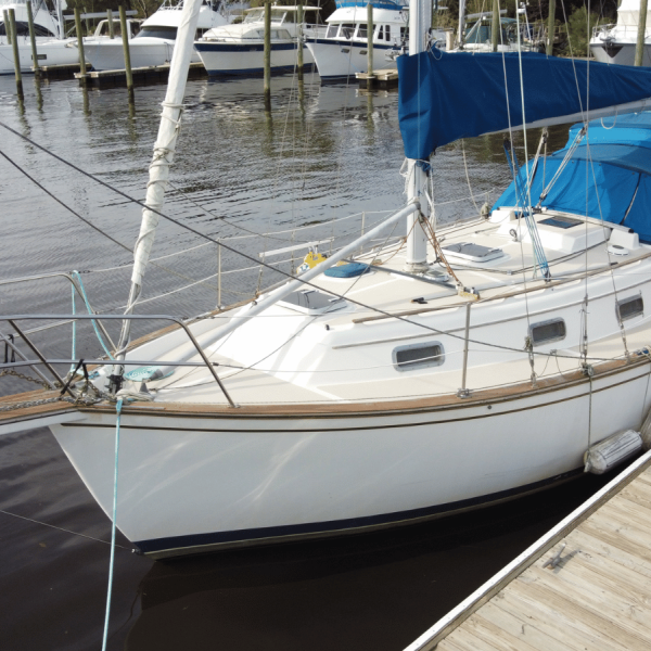 Island Packet 31 - John B